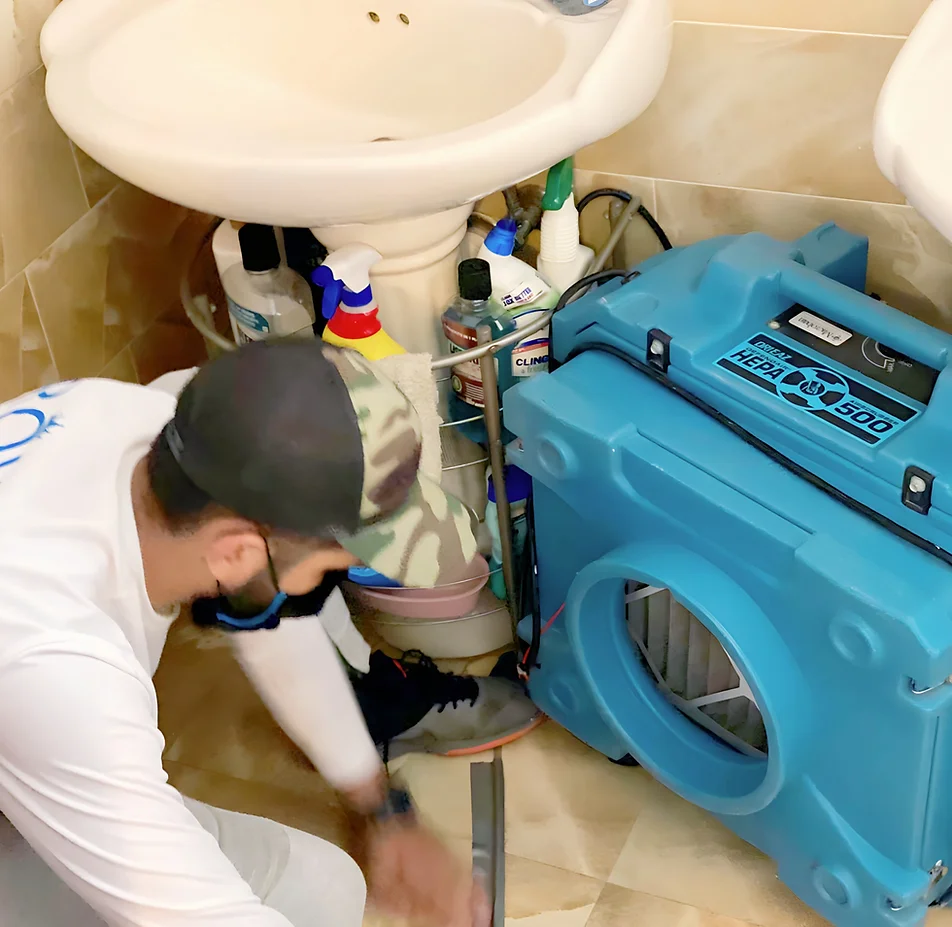 local Restoration Services