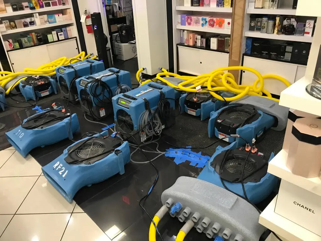 Restoration Services pros